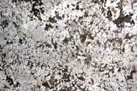 Granite:  Bianco Antico